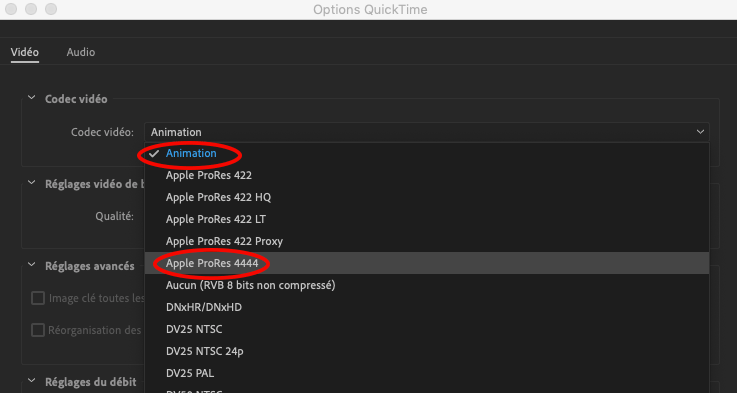 Comment Accelerer Une Video After Effect Comment faire une vidéo fond transparent avec After Effects ? - Mapping