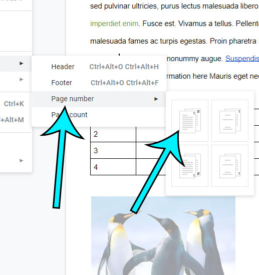 How to Add a Page Number at the Top Right in Google Docs