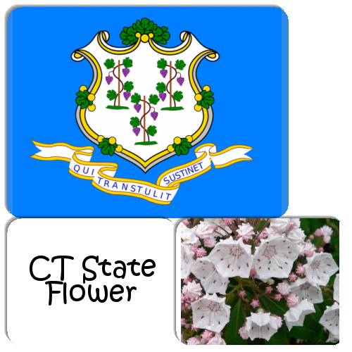 Ohio has had an official seal for more than two hundred years and it has gone through several revisions, the last modification in 1996. Connecticut Symbols Match The Memory