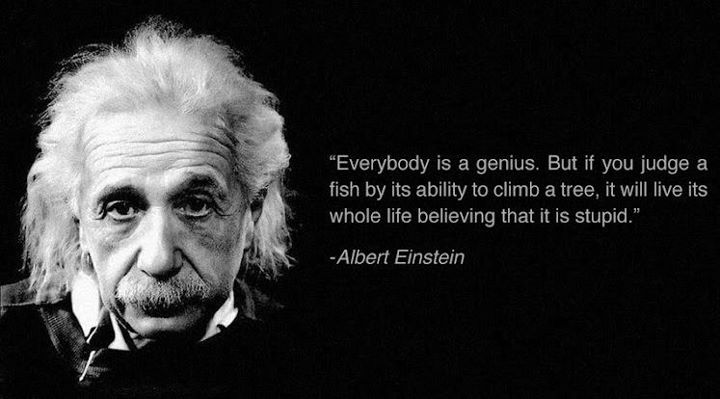 But if you judge a fish by its ability to climb a tree, it will live. Albert Einstein Quote 3 Matheus Machado