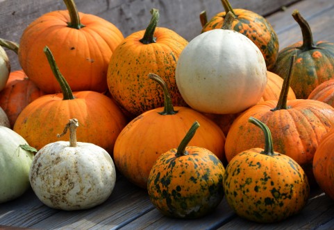 ハロウィンかぼちゃの名前ジャック オー ランタンの３つの秘密 マダムエムの気になる話題