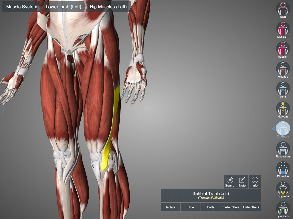 It's a health problem that causes pain on the outside of the knee. It Band Syndrome Matthew Boyd Physio