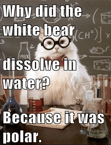 How did charlotte brontë make it easier for everyone to breathe? Pre-Med Memes | MCAT Question of the Day