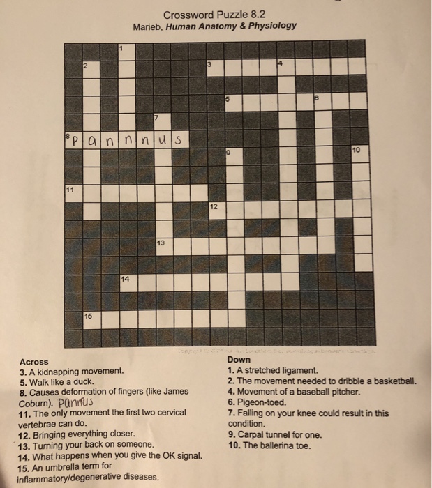 Answers for outer ear, in anatomy crossword clue. Crossword Puzzle 8 2 Marieb Human Anatomy Chegg Com