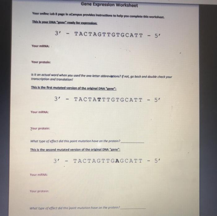 __binnie biol 2041 microbiology module 13 worksheet central dogma and gene expression answer the questions below. Solved Gene Expression Worksheet Your Onlinelab 8 Page In Chegg Com