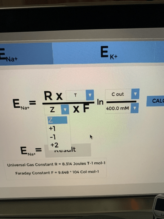 By watson littel april 19, . Download Student Exploration Equilibrium And Concentration