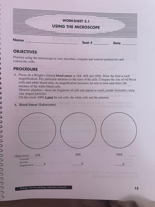 In this worksheet, students will learn about the different parts of a light. Worksheet 2 1 Using The Microscope Name Seat Date Chegg Com