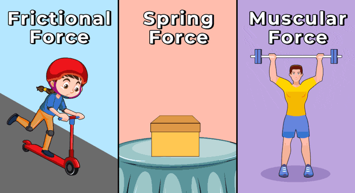 What Is Force? Definition, Types, Formula, Examples, And, 44% OFF Force gpu rendering android 10