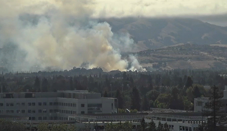 Vegetation Fire Burns Approximately 10 Acres in South San Jose - Vimarsana News