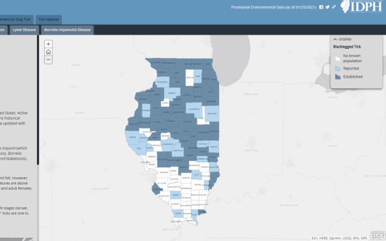 Track Ticks in Illinois Using Interactive Surveillance Map - Vimarsana News