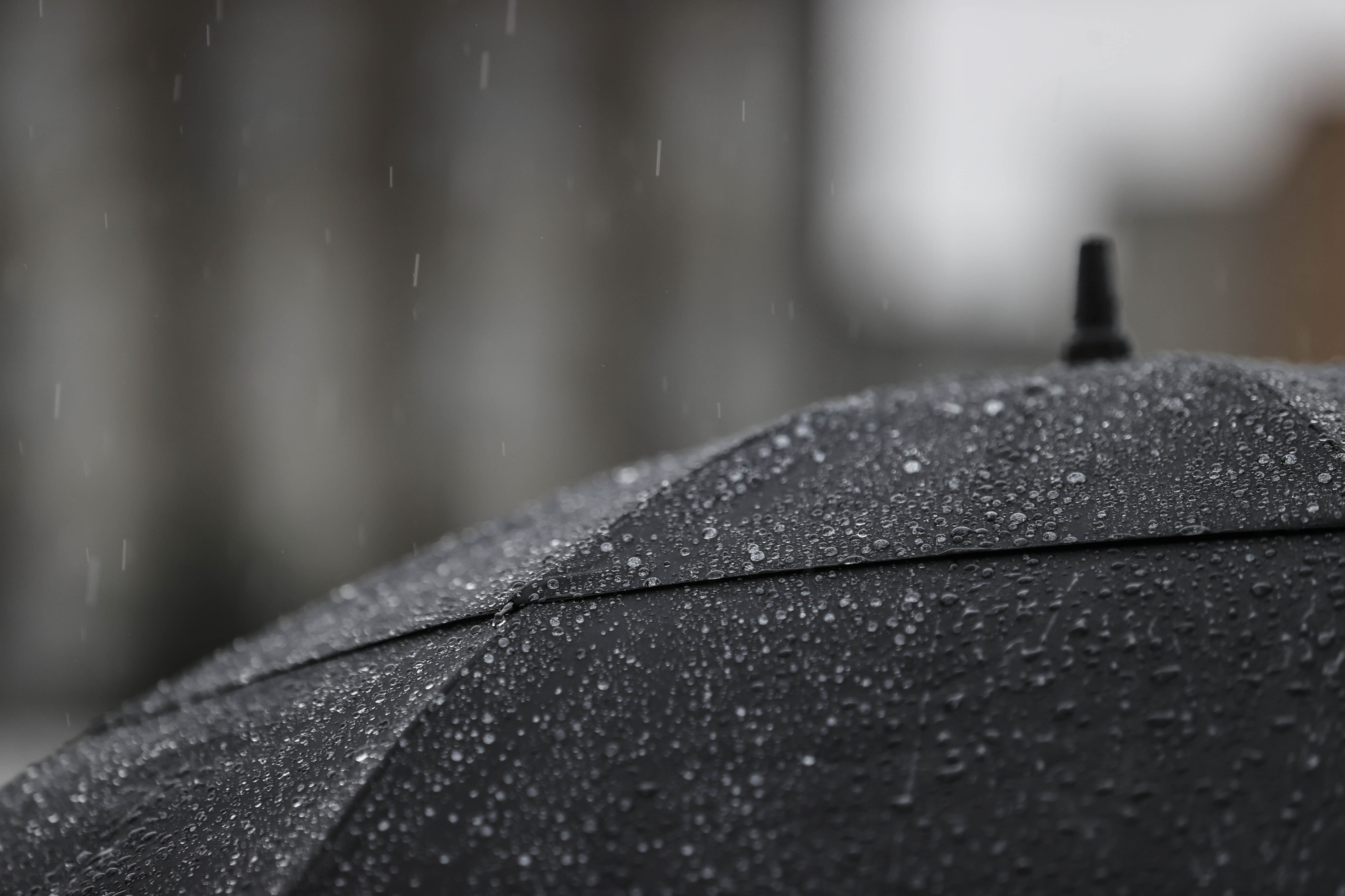 DC, Maryland, Northern Virginia Weekend Weather: June 4 – NBC4 Washington - Vimarsana News