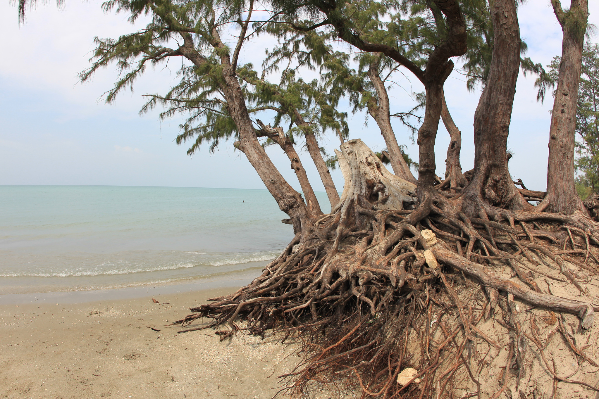 But before you buy, there are some things to consider to ensure your investment doesn't turn out to be a dud. Casuarina Beach | Things to do in Karainagar, Sri Lanka