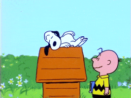 Good Morning Snoopy Gifs Get The Best Gif On Giphy