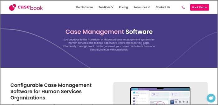 Public sector case management system opportunities last 3 months