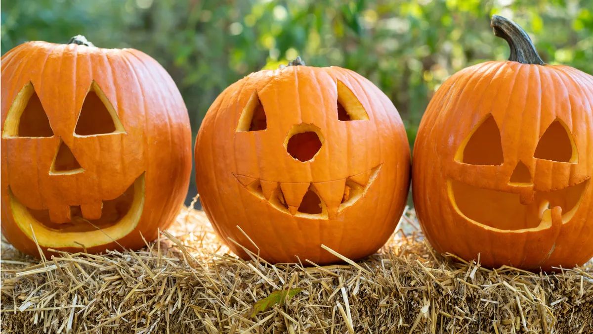 Why do we carve pumpkins for Halloween? Tracing the history Why do we carve pumpkins for Halloween? Tracing the history