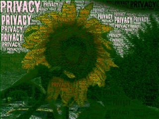 Anthony fauci insisted tuesday he has nothing to hide and republicans lawmakers who have threatened to investigate him didn't play a role in his decision to step down, accusing the gop of. Privacy I Ve Got Nothing To Hide So I M Not Worried Media Tech Parenting