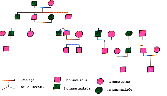 Locke à délimiter les contours de la souveraineté), montesquieu,. GÃ©nÃ©tique humaine: Arbre gÃ©nÃ©alogique