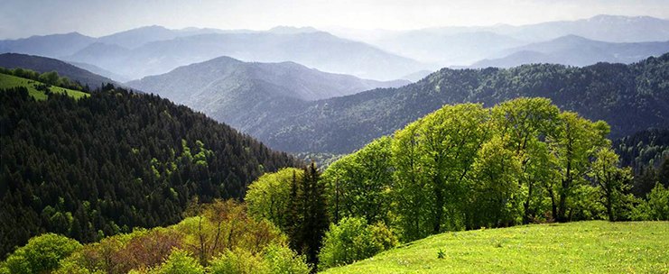 Начало строительства уходит корнями в 12 век и связано с годами правления царя георгия iii, а позже его дочери царицы тамары. Ekskursiya V Borzhomi Na 2 Dnya Bakuriani Rabat Vardziya