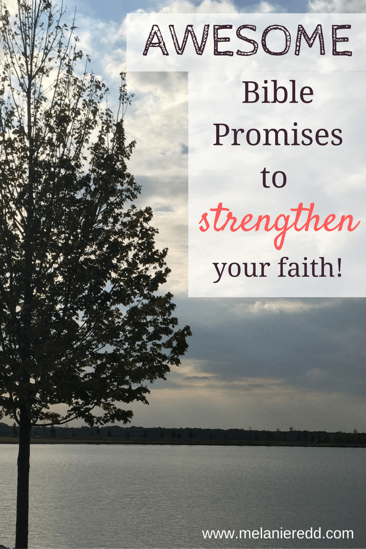 about verse faith bible little Promises Strengthen Awesome Your Bible Faith to