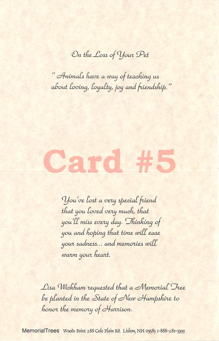 You may only want to include cash if you present the card to the family at. Sample Sympathy Cards - Memorial Trees