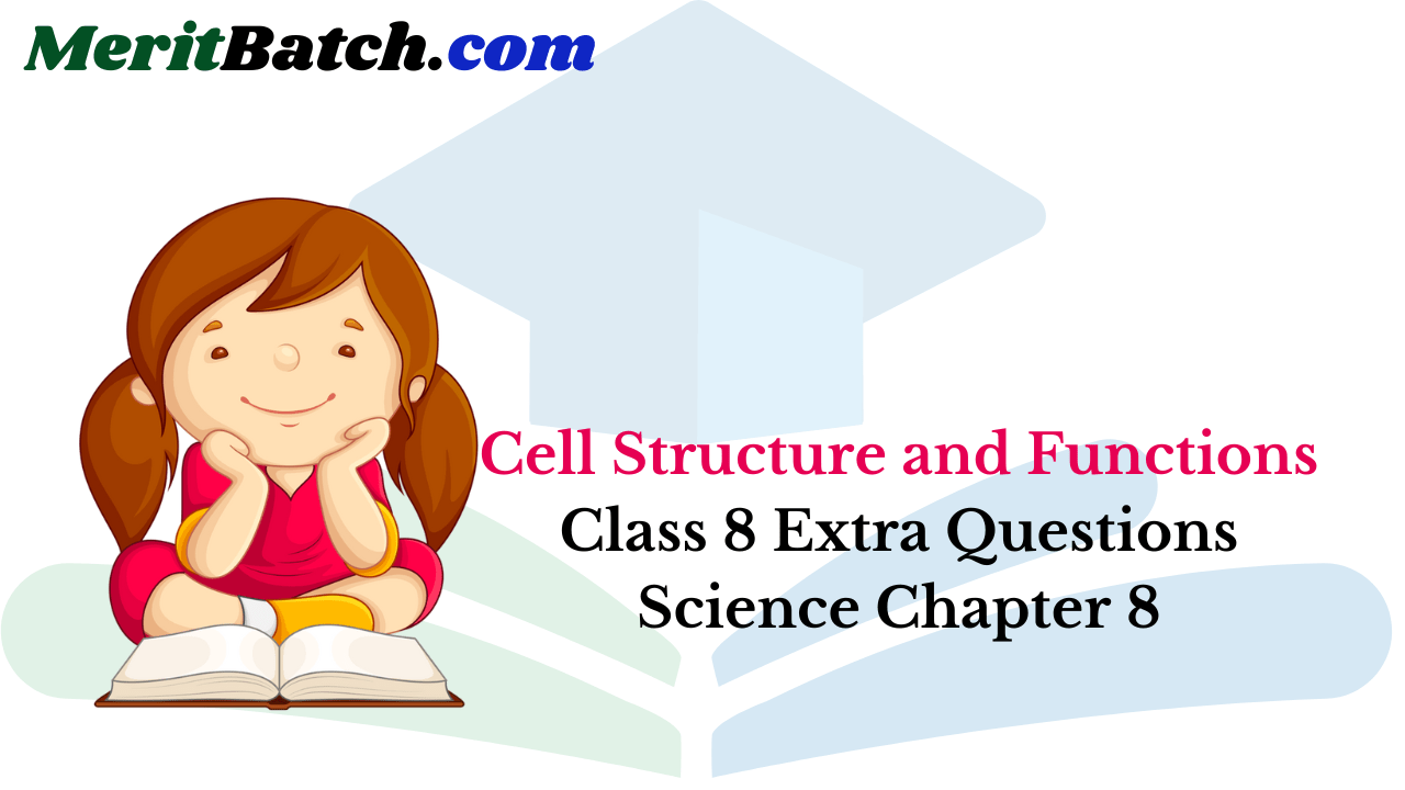 Cell Structure and Functions Class 8 Extra Questions Science Chapter 8
