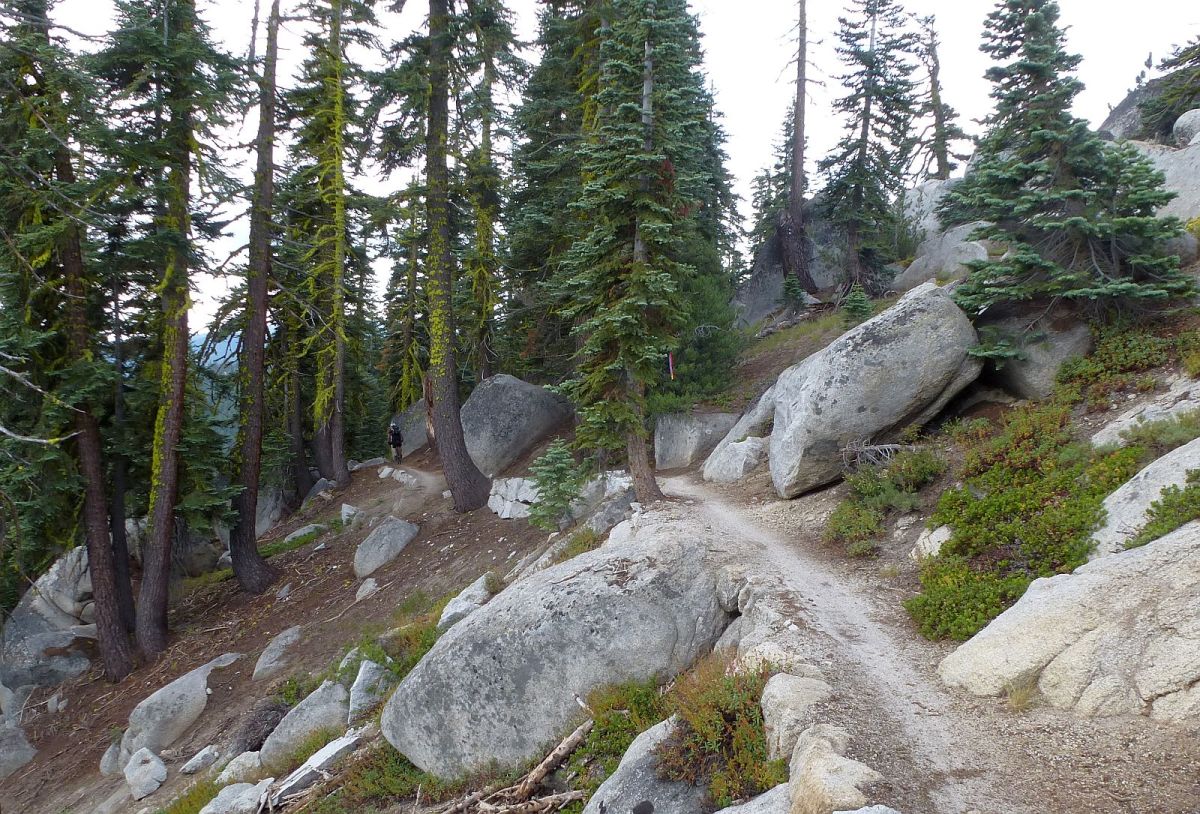 Tahoe Rim Trail tour Meriwether Cycles