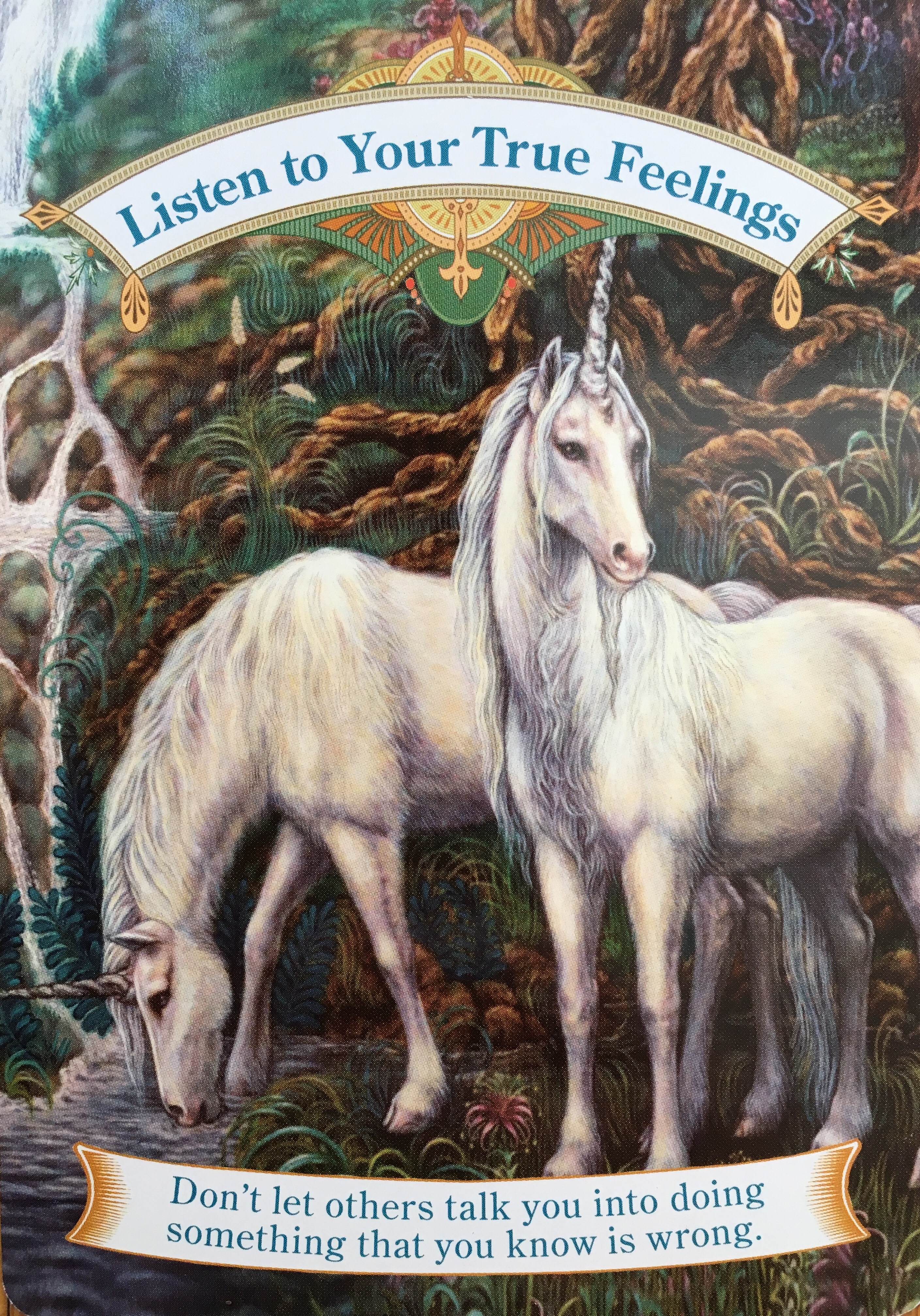 They bring messages of hope and remind us to stay . Unicorns Messages From The Faeries