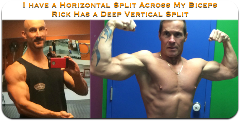 Chris bumstead's 6 day push / pull / legs workout routine is very interesting. Can You Change The Shape Of A Muscle Or Is It Genetic