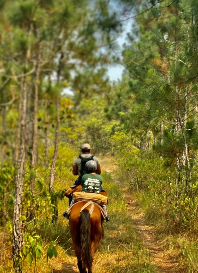 Waterfall Ride in Pine Savannah