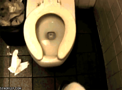 The 17 most horrifying spider videos of all time (warning contains