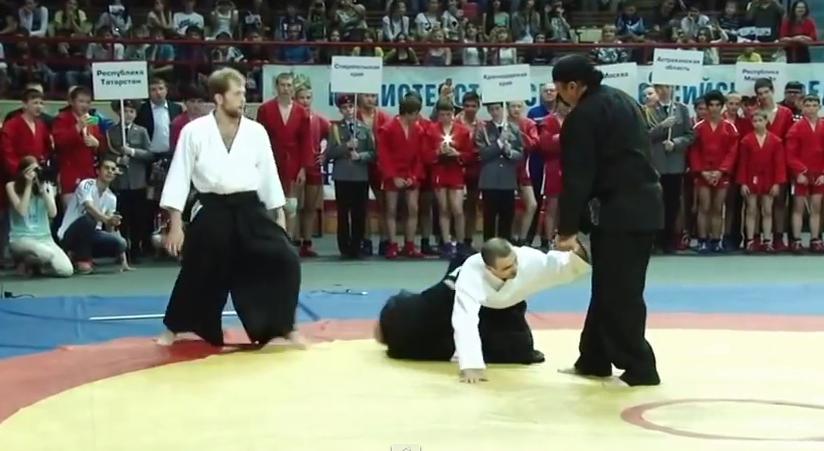Art Martial Japonais Pratiqué Par Steven Seagal
