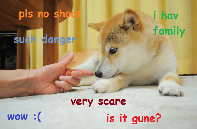 Man Receives Doge Meme Parking Note From Dog In A Police Hat