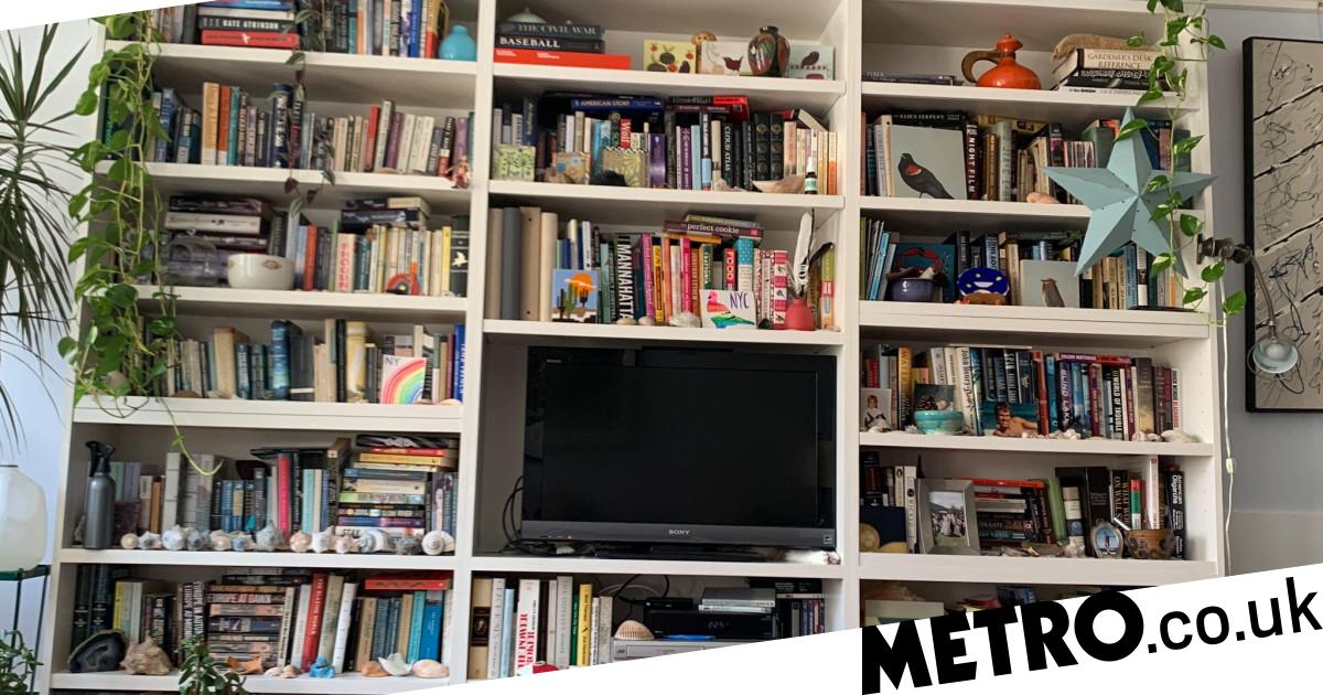 Can you spot the cat hiding in this viral picture?