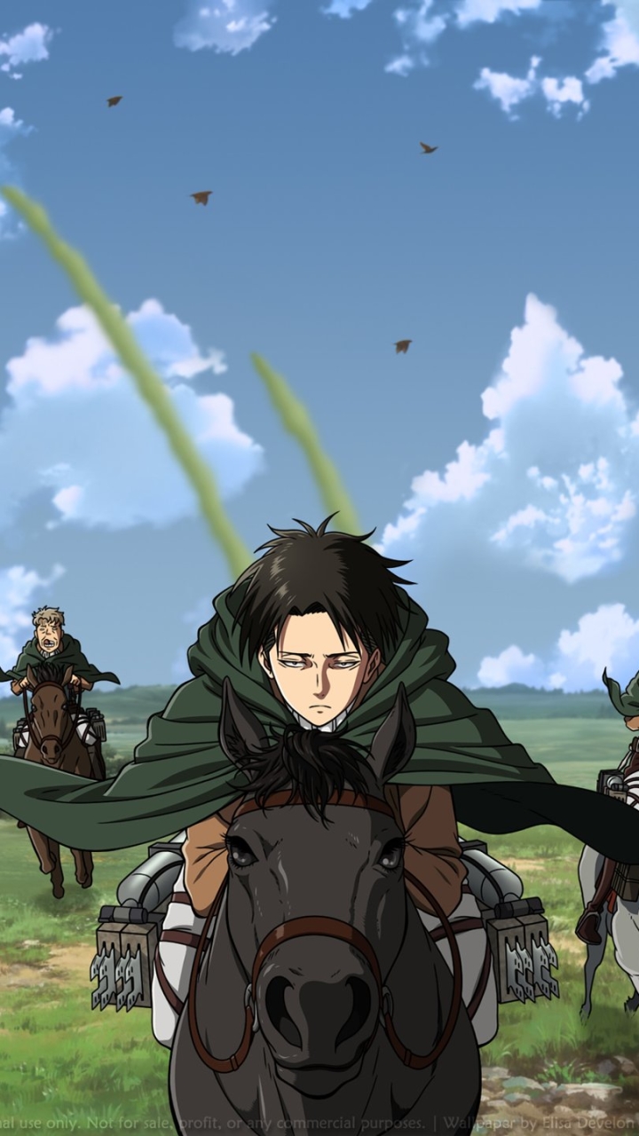 Here are some of the attack on titan characters that have to go now. Mal Attack On Titan Wallpaper