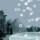 firebird_02 thumbnail