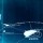 universe_02 thumbnail