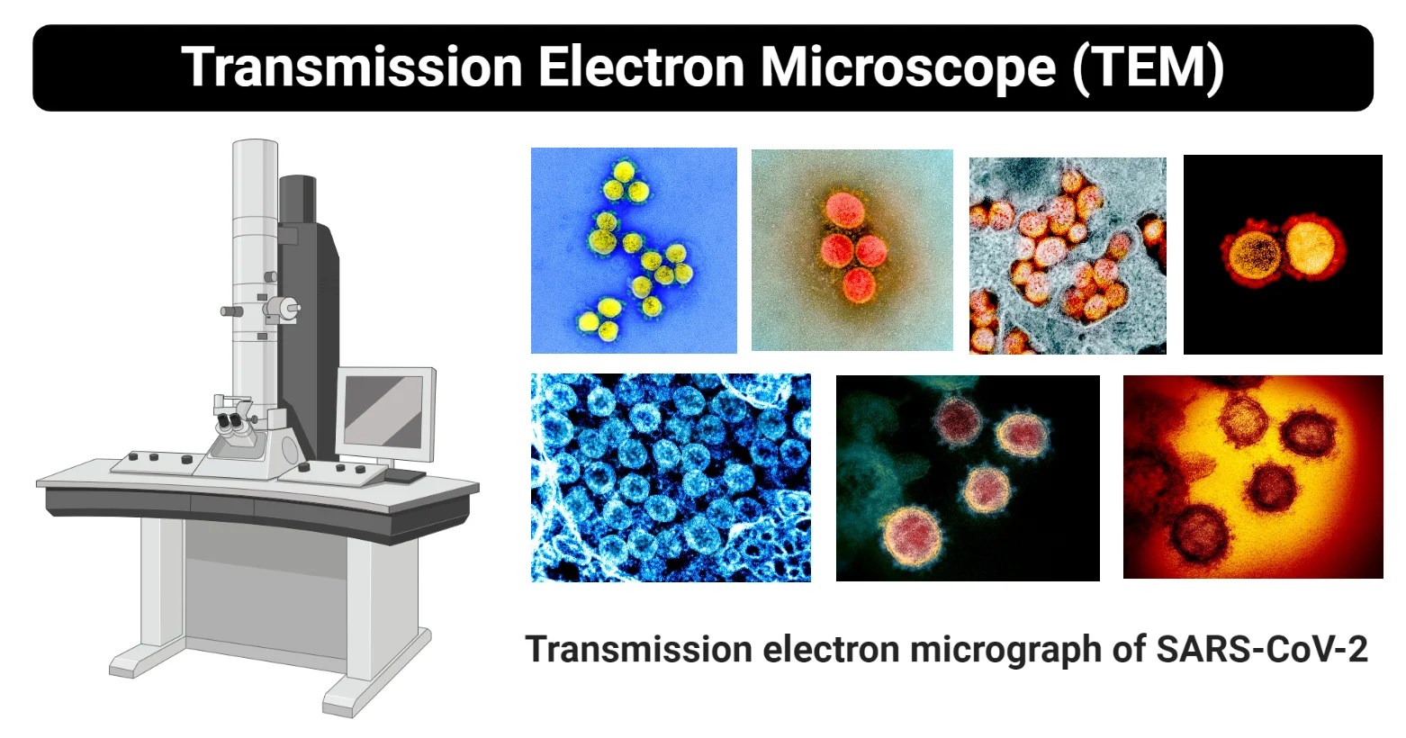 A Schematic Diagram Of The Electron Microscope - Circuit Diagram