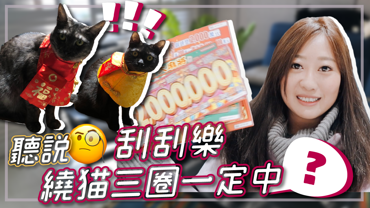 貓奴實測！刮刮樂貓咪頭上繞三圈會中獎？