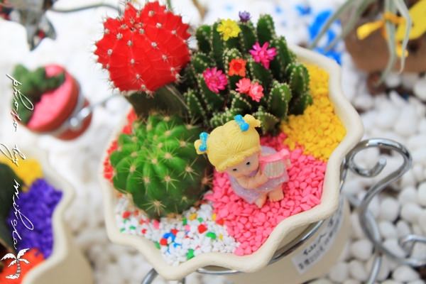 宜蘭》不小心走錯跑到金車蘭花園