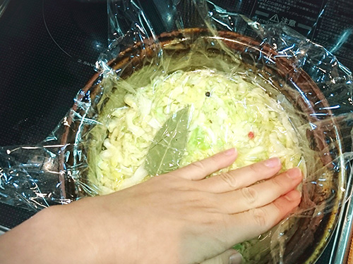春キャベツの本格手作りザワークラウト話題の乳酸キャベツ ミカママmikamama Net 春キャベツの本格手作りザワークラウト話題の乳酸キャベツ ミカママmikamama Net