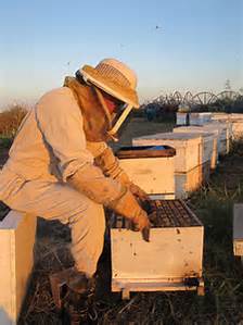 Wisconsin special education mediation … Registration Open for the 2019 Beekeeping for