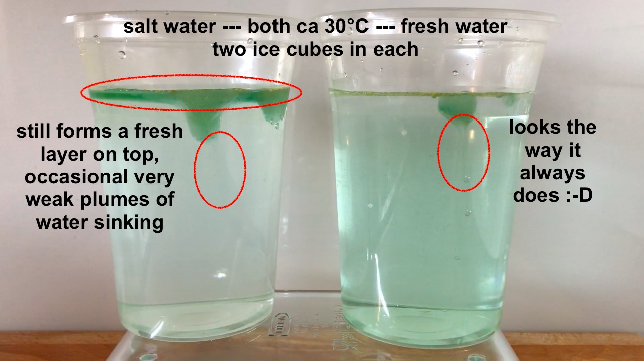 1,473 37 7 featured have you ever made. Melting Ice Cubes Experiment Archives Adventures In Oceanography And Teaching
