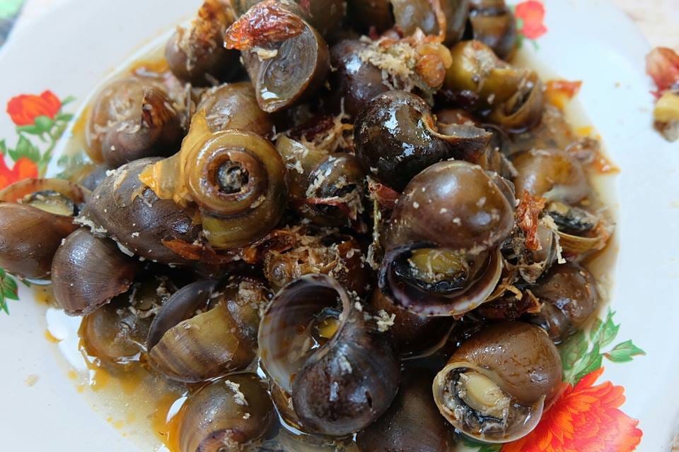 L&rsquo;Escargot a.k.a Bekicot. Seri 100 Hari Menulis — Day 9 | by Andy Fajar  Handika | Medium