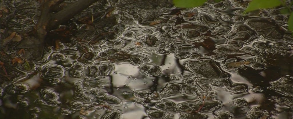 pic Primordial Ooze Meaning in praise of difference or make america primordial ooze again by steve wright conches