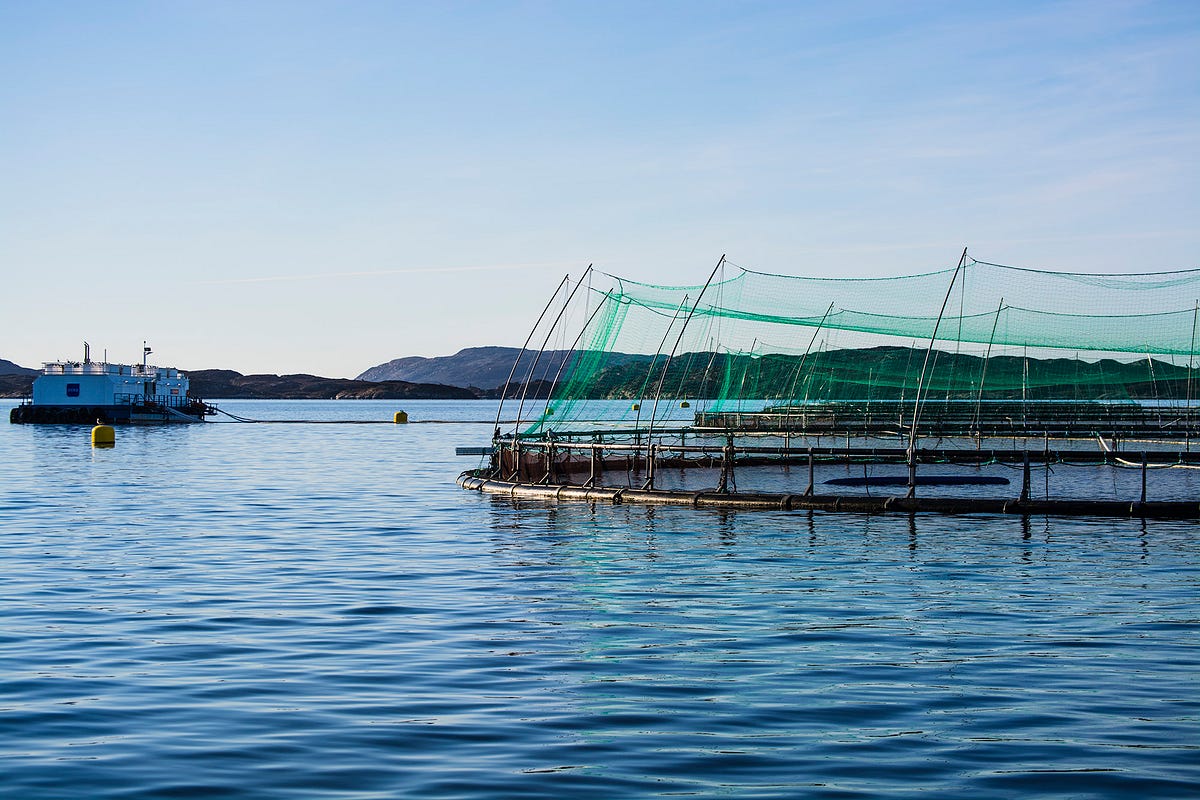 Of work sponsored by the california sea. Aquaculture and the future of producing healthy food (part