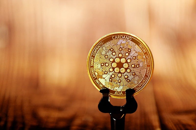 Today i am here to gather the best bitcoin how to's and put them into one. Charles Hoskinson Definitively Addresses If Cardano Ada Will Ever Be Burned By Andrew Martin Sep 2021 Datadriveninvestor