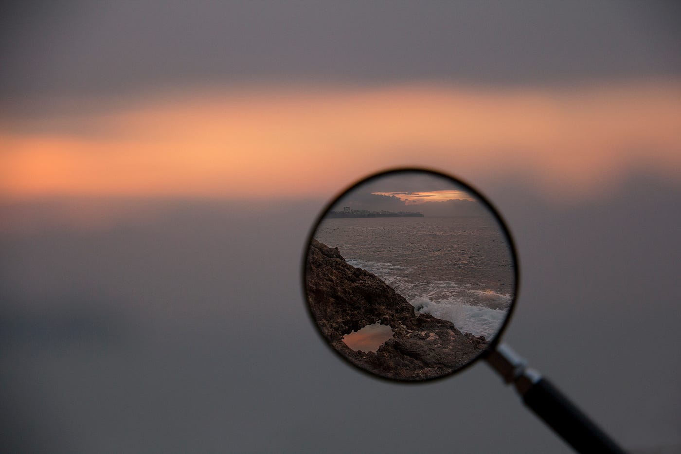 The company's logo and basic contact information should be on the letterhead. How To Create A Sense Of Purpose According To Science By Cortland Dahl Elemental