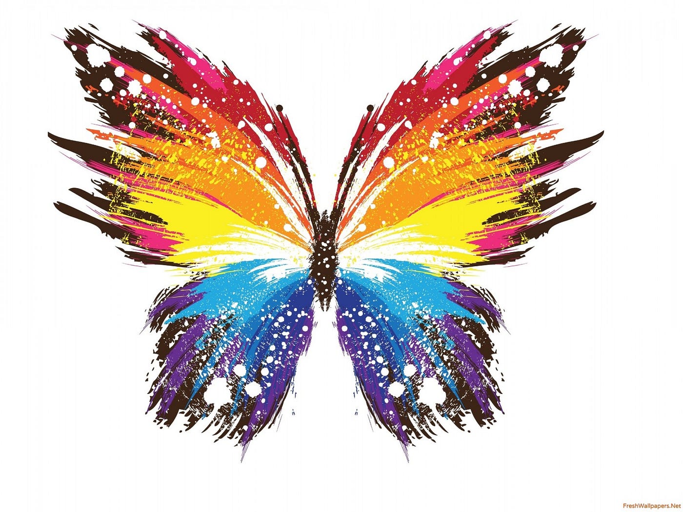 Dengan memberikan dasar bagi filosofi materialis, pandangan ini. Menikmati Filosofi Alam Semesta Di Dalam Bui By Fikri Haryadi Medium