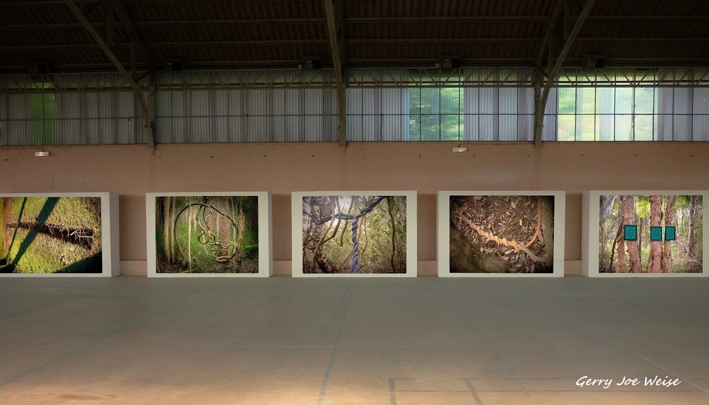 L A M P Land Art Multimedia Project By Gerry Joe Weise Medium