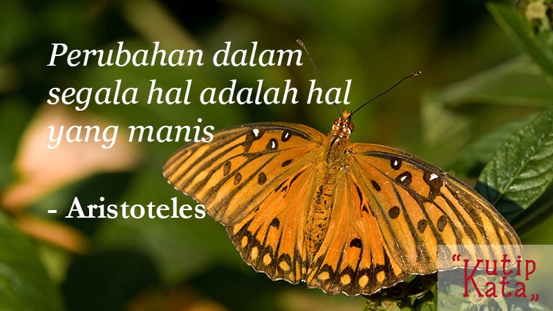 35 Kata Kata Mutiara & Bijak Kehidupan Inspirasional | by Kutip Kata |  Medium